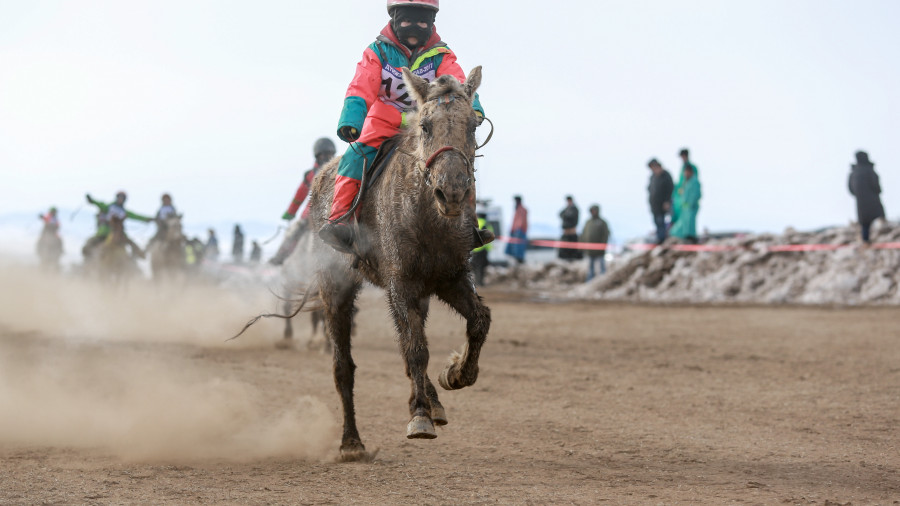 Эргэн сэргэсэн "Дүнжингарав" хаврын хурдан морины уралдаан ирэх сард болно