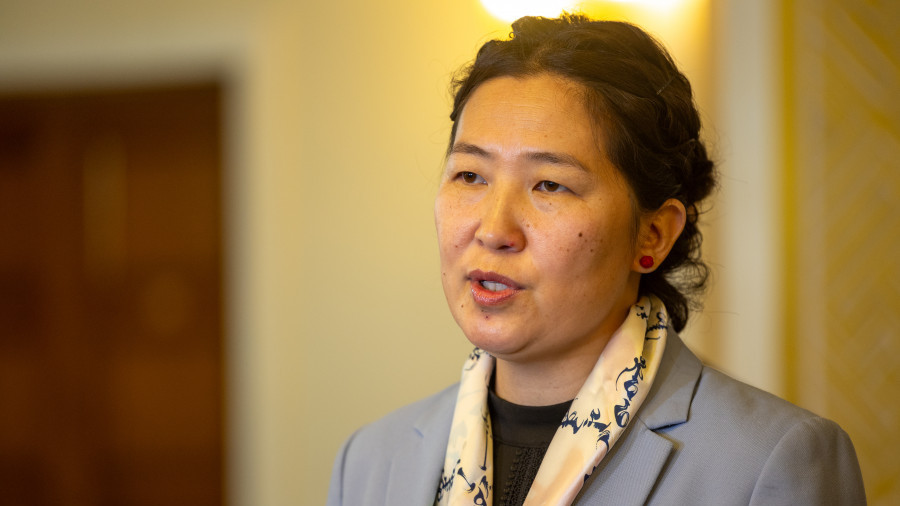 Х.Баасанжаргал: Ерөнхийлөгчийн санаачилсан хуулийг дэмжих нь буруу