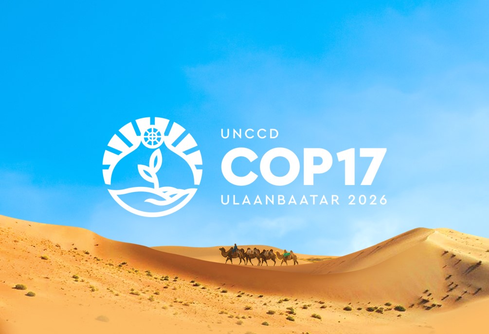 Сүүлд нэмэгдсэн мэдээний дээр